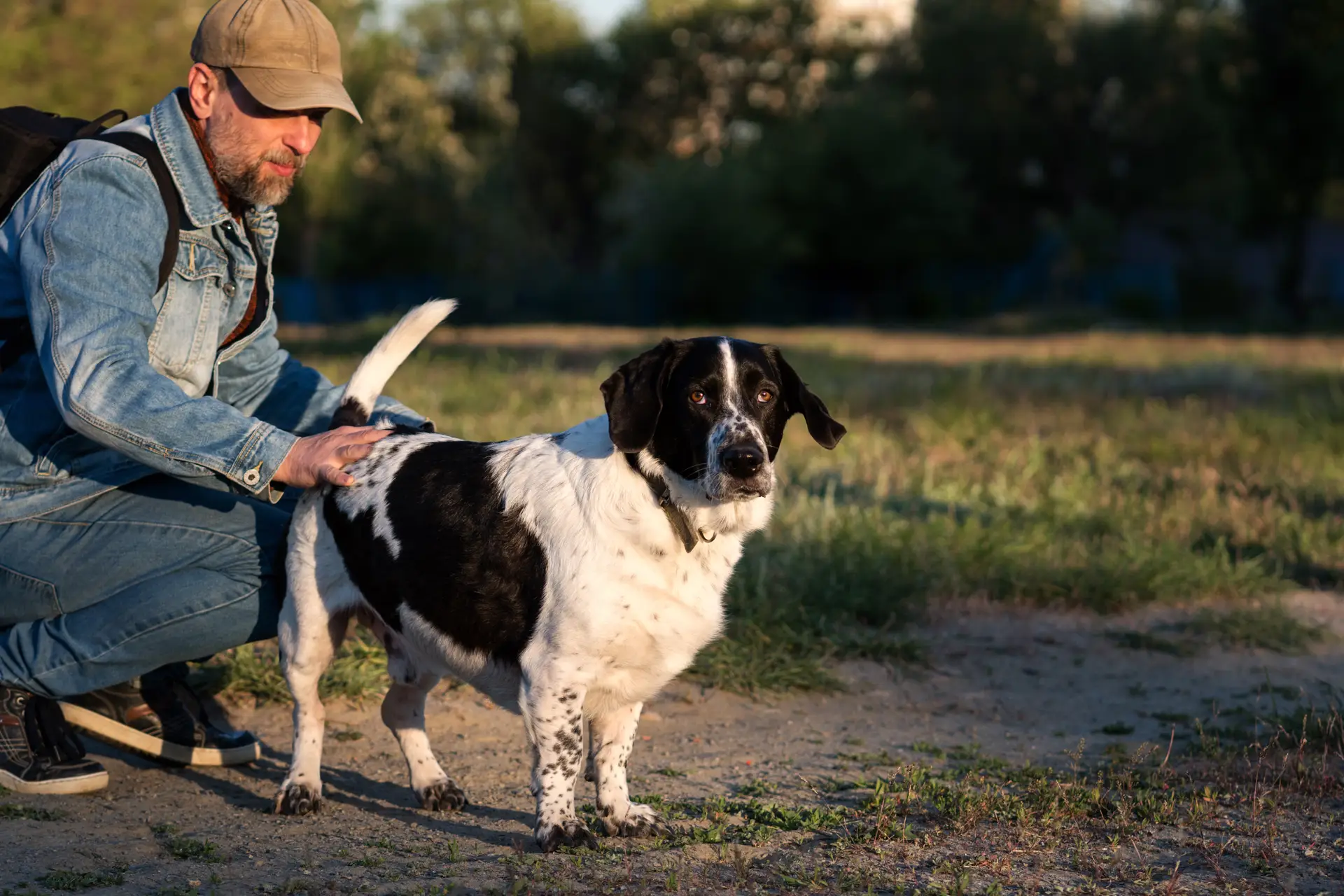 Veteran petting a black and white service dog in a park, symbolizing emotional support and healing for PTSD and anxiety.