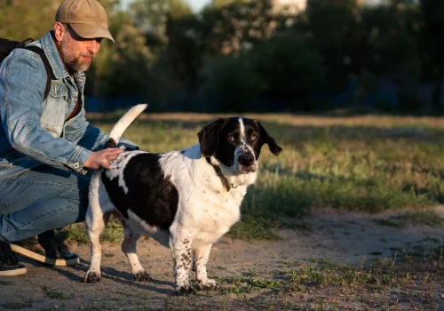 Veteran petting a black and white service dog in a park, symbolizing emotional support and healing for PTSD and anxiety.